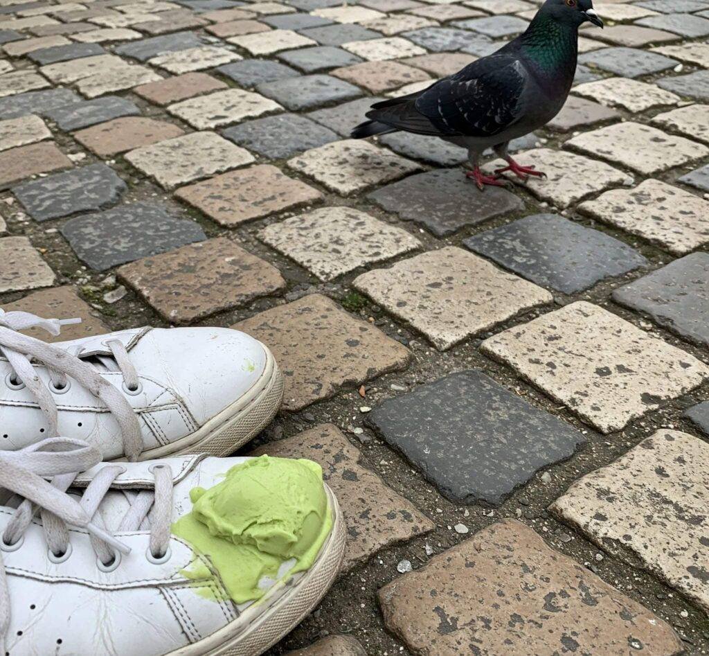 Gelato-stained sneakers on Roman cobblestones with pigeon