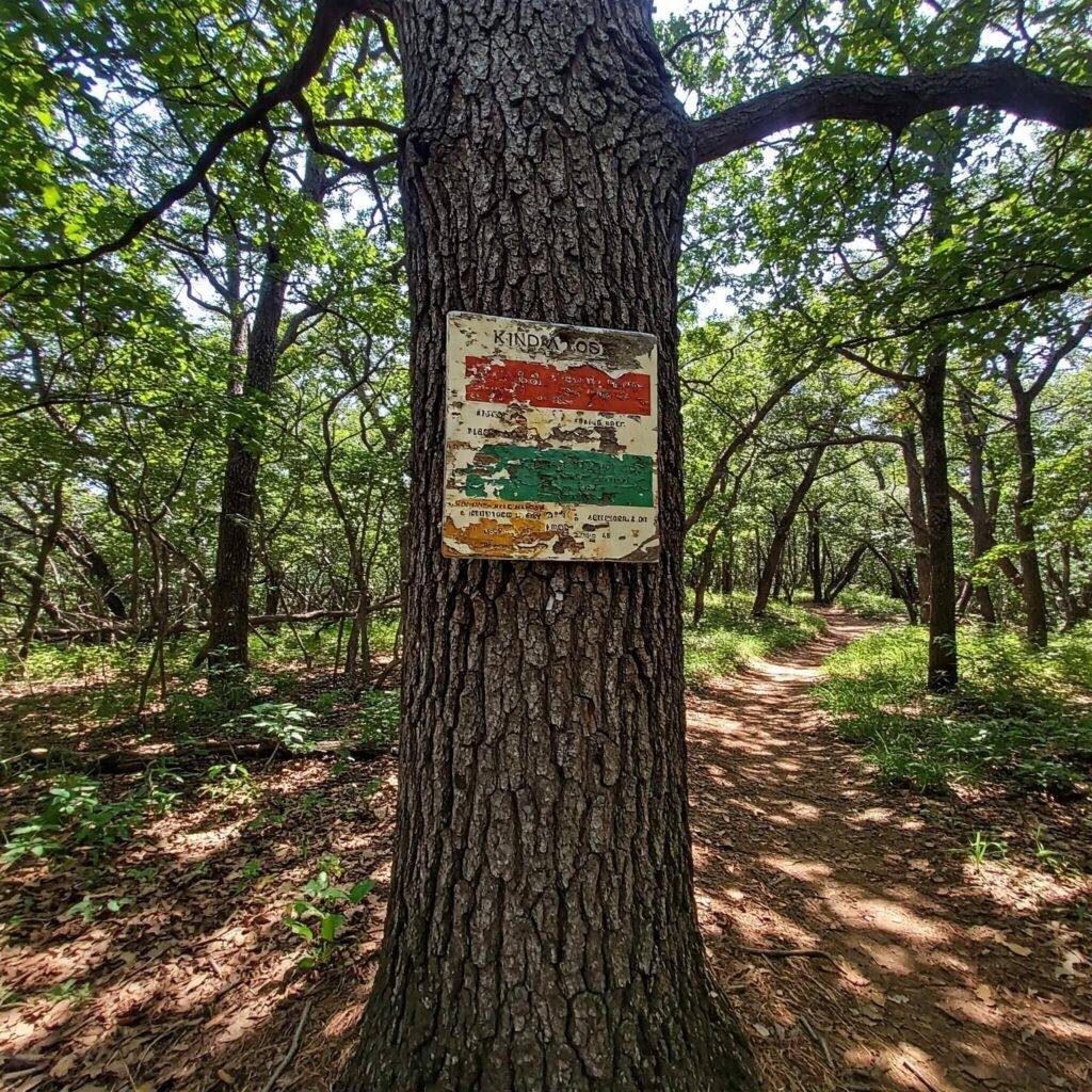 Wrapping Up This Trail Talk